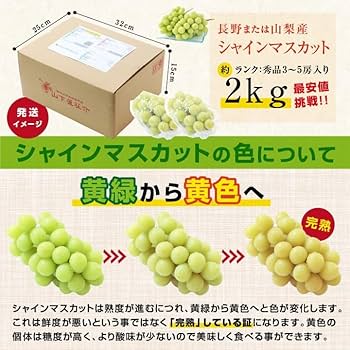 Amazon.co.jp: 山下屋荘介 長野産 シャインマスカット 秀品 (3